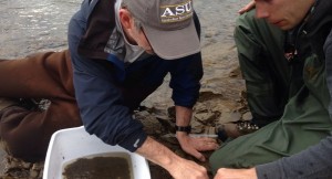 Biologist Shea Tuberty invetigated the worms and insects living along the Dan River in hope of learning the effect's of a nearby coal ash spill. (Photo by Abigail Brewer)