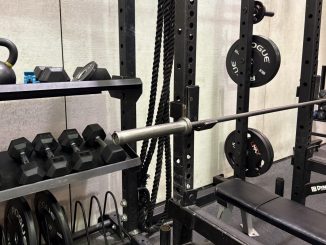 Dumbbells, plates, and a bench in a gym.