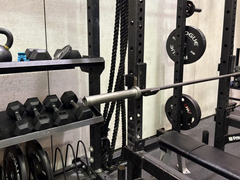 Dumbbells, plates, and a bench in a gym. 